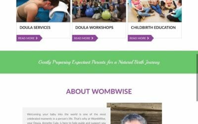 WombWise Homepage